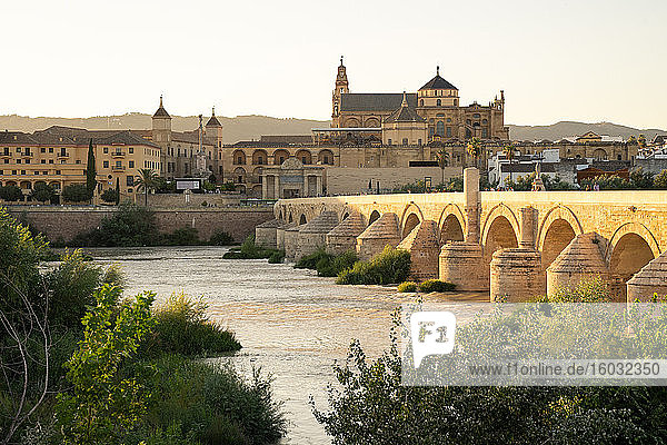 The Roman Bridge (Puente Romano) and The Great Mosque of Cordoba in the glow of sunset at golden hour  UNESCO World Heritage Site  Cordoba  Andalusia  Spain  Europe
