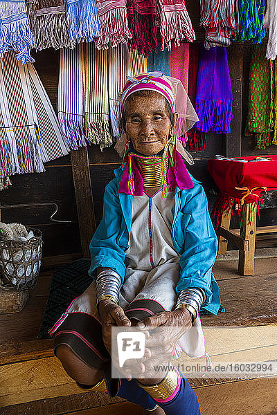 Porträt einer Padaung-Frau (Giraffenfrau) (Langhalsfrau)  Gebiet Loikaw  Panpet  Bundesstaat Kayah  Myanmar (Burma)  Asien