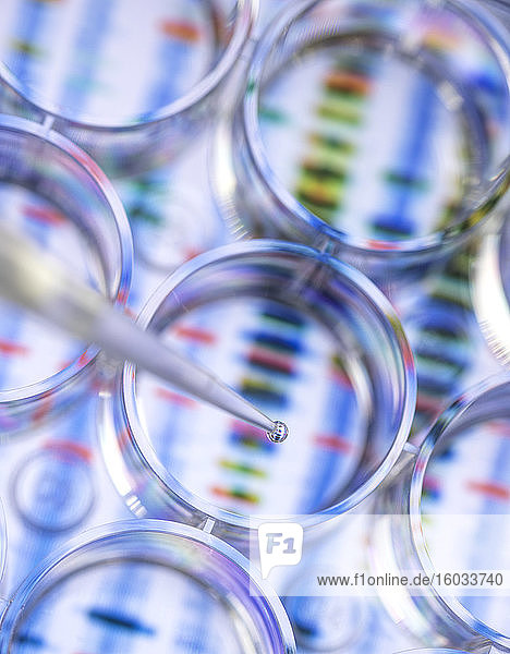 Wissenschaftler pipettiert eine Probe für genetische Tests mit dem Hintergrund einer DNA-Sequenz