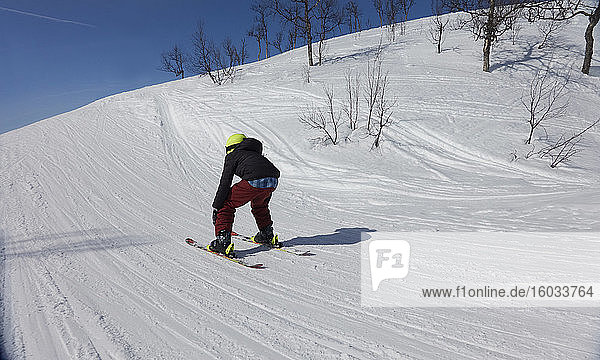 Rückansicht eines Jungen beim Skifahren auf einer Piste in Vasterbottens Lan  Schweden.