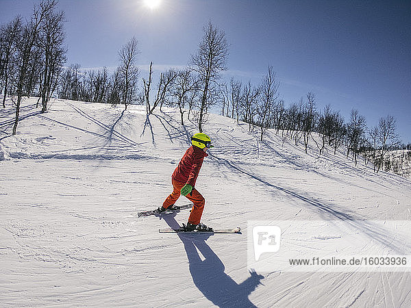 Junge Skifahrer auf einer Piste in Vasterbottens Lan  Schweden.