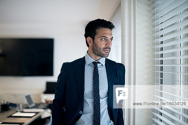 Bearded businessman wearing suit and tie standing by a window.