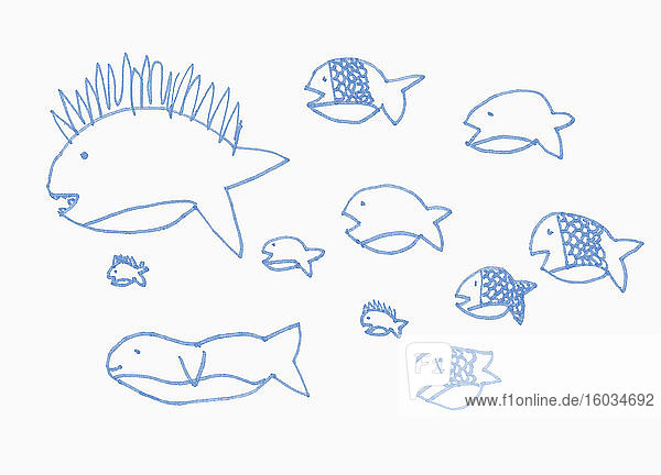 Kinder zeichnen blaue Fische auf weißem Hintergrund