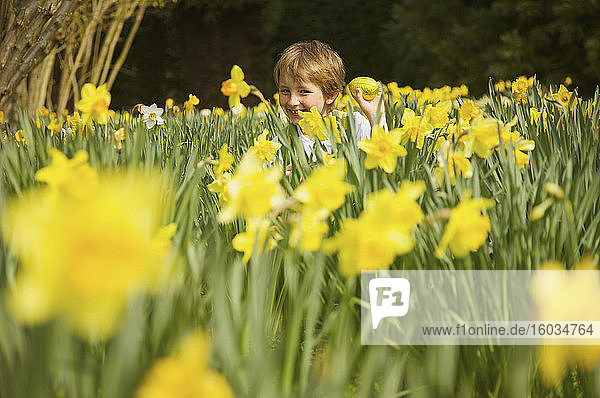 Porträt eines glücklichen Jungen bei der Ostereiersuche im Feld der gelben Narzissen
