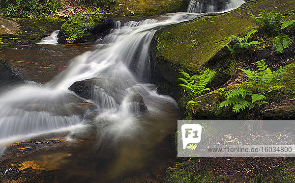 Basis eines ruhigen Wasserfalls in Wäldern Asheville North Carolina USA