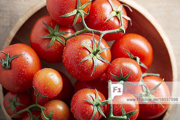 Frische Tomaten in Holzschale
