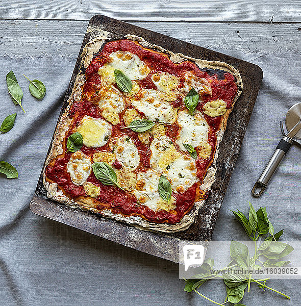 Vegetarische Sauerteig-Pizza mit Tomaten  Mozzarella und Basilikum