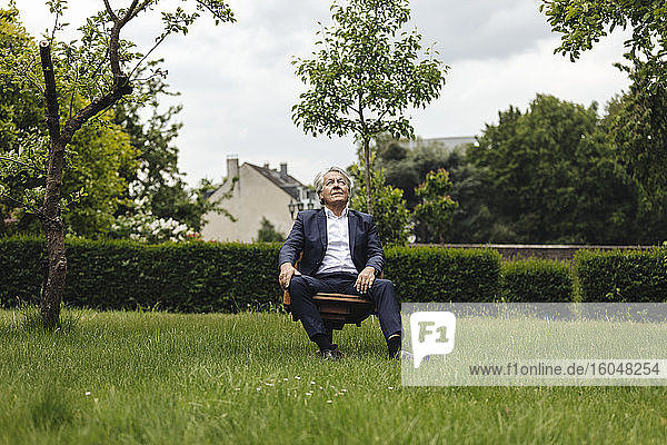 Senior businessman sitting on a chair in a rural garden looking up