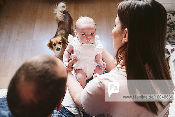 Cute baby with parents and dog in living room at home