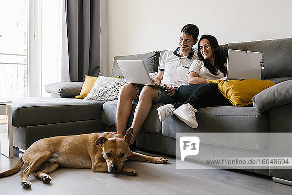 Couple using laptops on sofa near dog at home