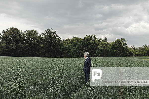Senior businessman on a field in the countryside