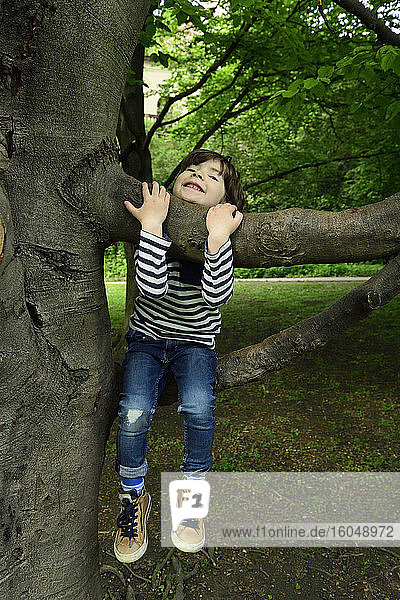 Lächelnder niedlicher Junge sitzt auf einem Baumzweig im Park