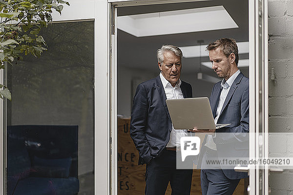 Two confident businessmen using laptop  standing in office door