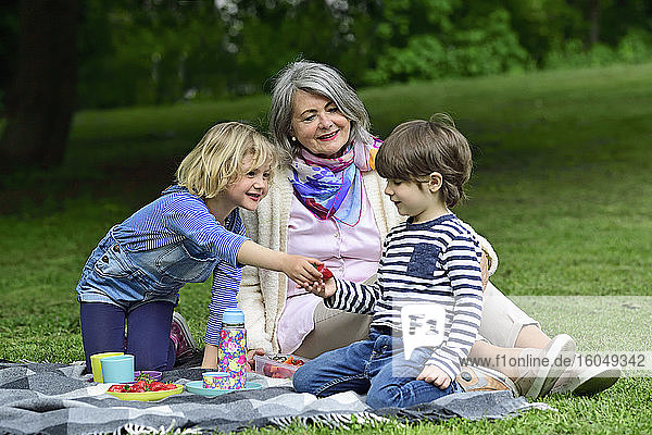 Mädchen gibt ihrem Bruder eine Erdbeere  während sie mit ihrer Großmutter im Park sitzt