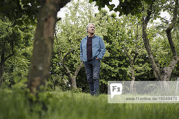 Senior man standing in a rural garden