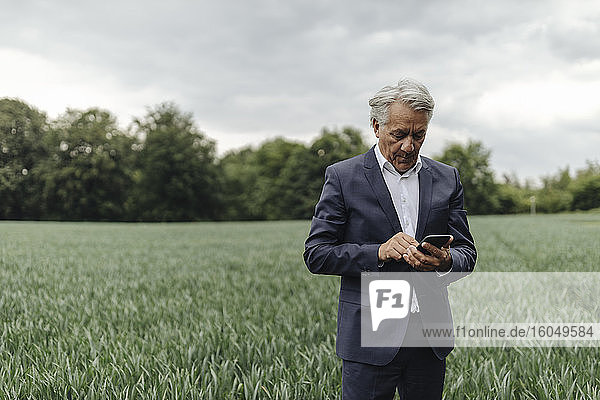 Senior businessman using smartphone on a field in the countryside