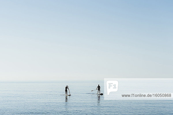 Mature men paddleboarding on sea against sky