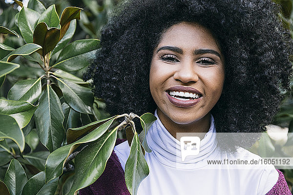 Nahaufnahme einer fröhlichen jungen Frau mit Afro-Haar im Park