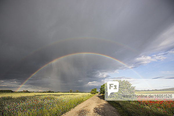 Doppelter Regenbogen über Feldern