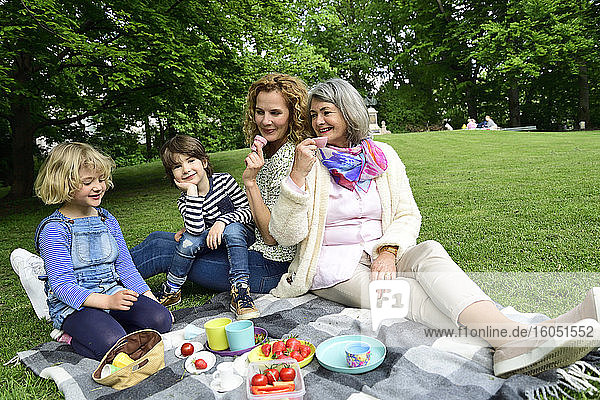 Familie der dritten Generation beim Picknick in einem öffentlichen Park