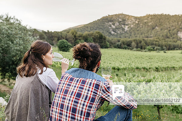 Ehepaar verkostet Weißwein im Weinberg sitzend