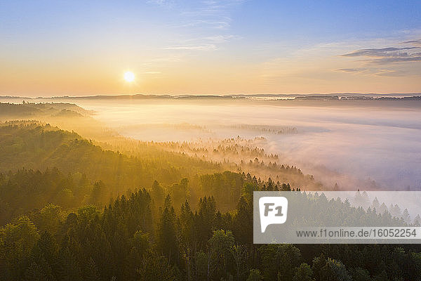 Deutschland  Bayern  Icking  Drohnenansicht einer Waldlandschaft bei nebligem Sonnenaufgang