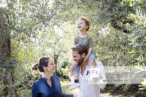 Lächelnde Eltern  die sich gegenseitig ansehen  während sie ihren Sohn auf den Schultern durch einen Olivenhain tragen