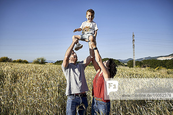 Verspielte Eltern  die ihren Sohn abholen  während sie inmitten von Feldfrüchten vor einem klaren blauen Himmel stehen