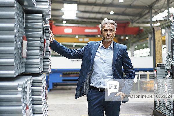 Portrait of a confident mature businessman in a factory storehouse