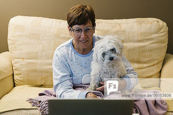Kranke ältere Frau  die mit ihrem Hund zusammensitzt  während sie sich über einen Videoanruf mit ihrem Laptop zu Hause unterhält