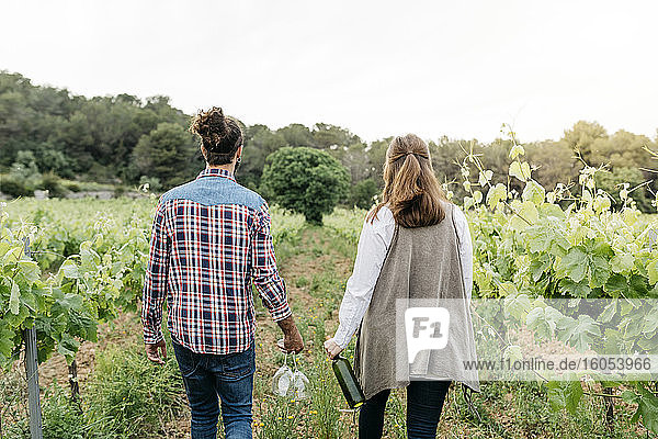 Paar hält Weingläser und Weinflasche beim Spaziergang im Weinberg