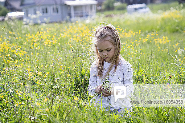 Nettes Mädchen pflückt Blumen im Sitzen auf einer Wiese