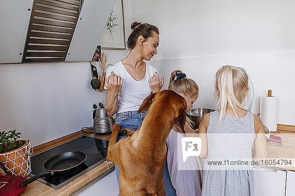 Frau und Hund schauen auf Mädchen  die in der Küche Käsekuchen zubereiten