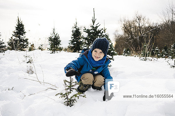 Lächelnder Junge zeigt Baum  während er auf schneebedecktem Land vor dem Himmel kauert