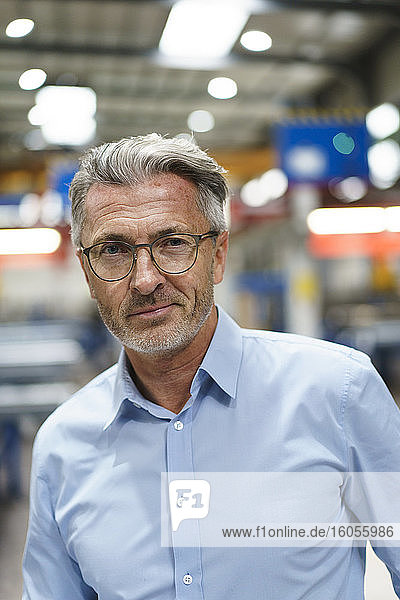 Porträt eines selbstbewussten reifen Geschäftsmannes in einer Fabrik
