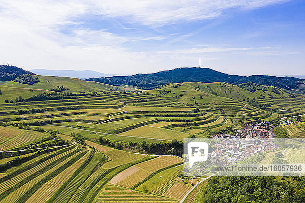 Deutschland  Baden-Württemberg  Vogtsburg  Luftaufnahme eines Dorfes auf dem Lande  umgeben von den terrassenförmigen Hügeln des Kaiserstuhls