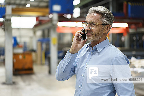 Mature businessman on the phone in a factory