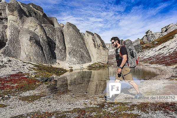 Mann auf Rucksacktour am Teich und an riesigen Felsen vorbei auf dem Kesugi Ridge Trail  Denali State Park  Alaska an einem sonnigen Herbsttag  Süd-Zentral-Alaska; Alaska  Vereinigte Staaten von Amerika