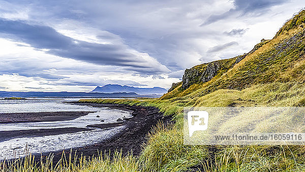 Typische isländische Landschaft mit grüner Tundra  schwarzem Sand am Wasser und einer Bergregion unter bewölktem Himmel; Island