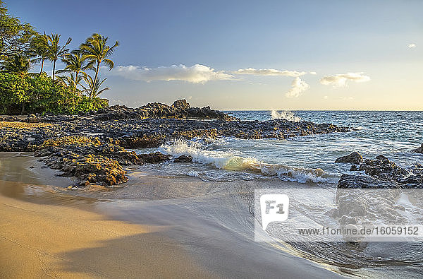 Küstenlinie von Maui mit schroffem Lavagestein  einem Strand und Palmen; Kihei  Maui  Hawaii  Vereinigte Staaten von Amerika