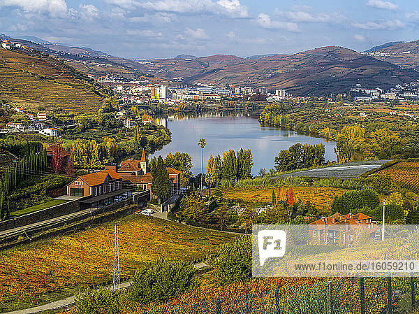 Herbstfarbiges Laub um den Douro-Fluss  Douro-Tal; Portugal