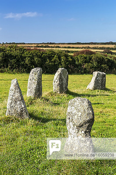Alter Steinkreis in grasbewachsenem Feld  eingerahmt von Bäumen im Hintergrund mit blauem Himmel; Grafschaft Cornwall  England