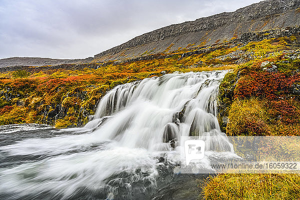 Dynjandi (auch als Fjallfoss bekannt) ist eine Reihe von Wasserfällen in den Westfjorden  Island. Die Wasserfälle haben eine Gesamthöhe von 100 Metern; Isafjaroarbaer  Westfjorde  Island