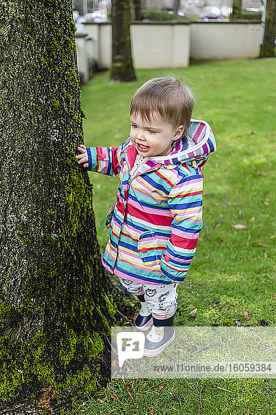 Kleinkind  das an einem Baum steht und einen gestreiften Mantel und Regenstiefel trägt; Vancouver  Britisch-Kolumbien  Kanada
