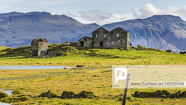 Farmgebäude mit Graffiti und Pferden in einer Landschaft im Osten Islands; Hornafjordur  östliche Region  Island