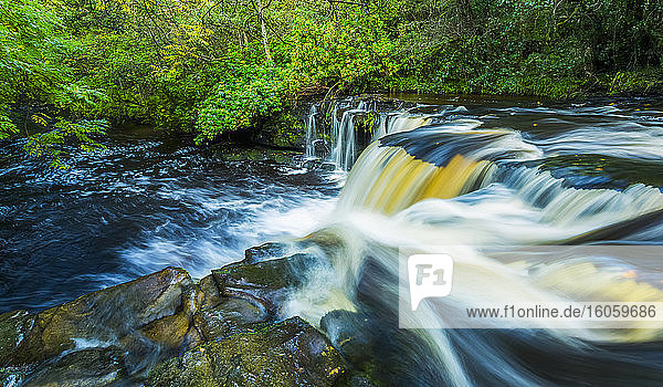 Wasser fließt über die Lippe eines Wasserfalls an einem Fluss in einem Wald in Irland; Clare Glens  County Tipperary  Irland