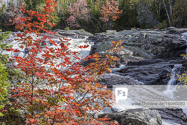 Ein rauschender Fluss fließt über Felsen mit atemberaubendem herbstlich gefärbtem Laub; Thunder Bay  Ontario  Kanada