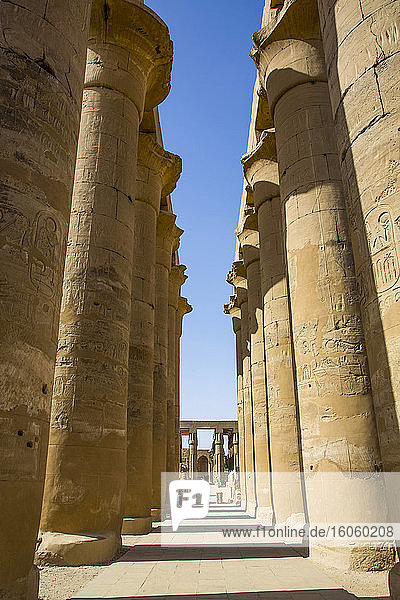 Kolonnade  Luxor-Tempel  UNESCO-Weltkulturerbe; Luxor  Ägypten