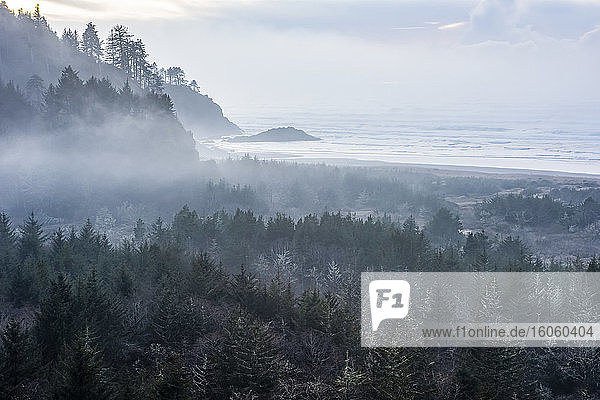Blick auf Kap Enttäuschung mit dichtem Nebel über Wald und Meer; Washington  Vereinigte Staaten von Amerika