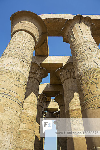 Säule mit Reliefs  Tempel von Sobek und Haroeris; Kom Ombo  Ägypten